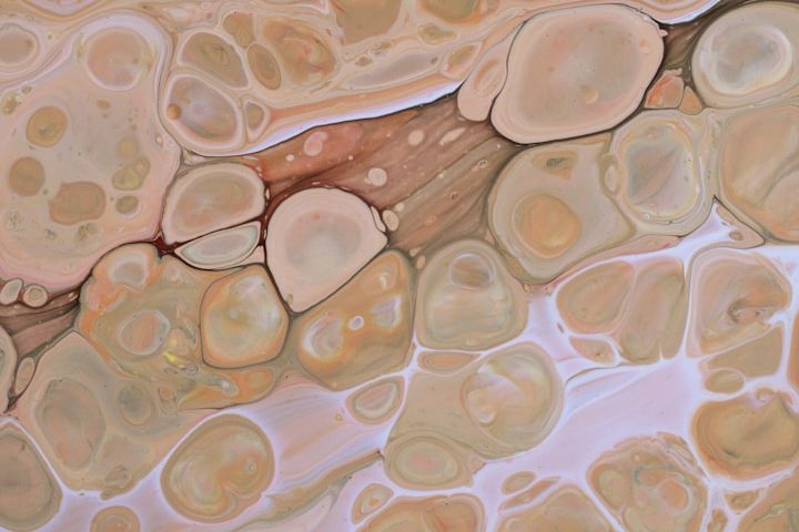 Textura abstracta con formas ovaladas en tonos beige y marrón, sobre fondo claro.